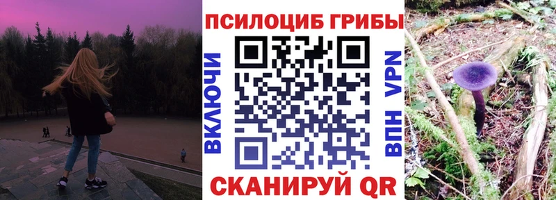 Псилоцибиновые грибы мицелий  Спасск-Рязанский 